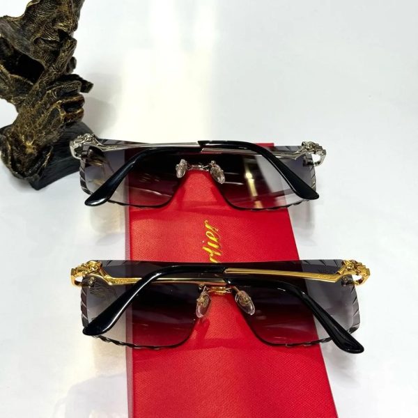 Cartier Women Sunglasses - Image 4