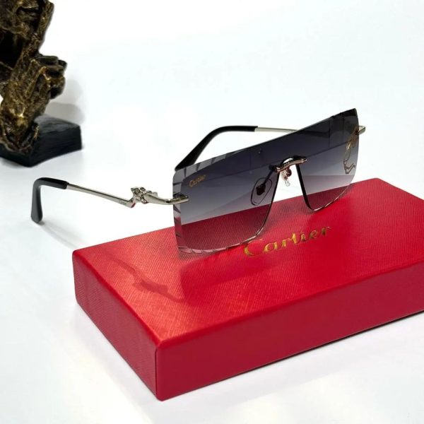 Cartier Women Sunglasses - Image 6